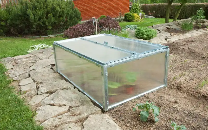 Pařeniště jako doplněk ke skleníku